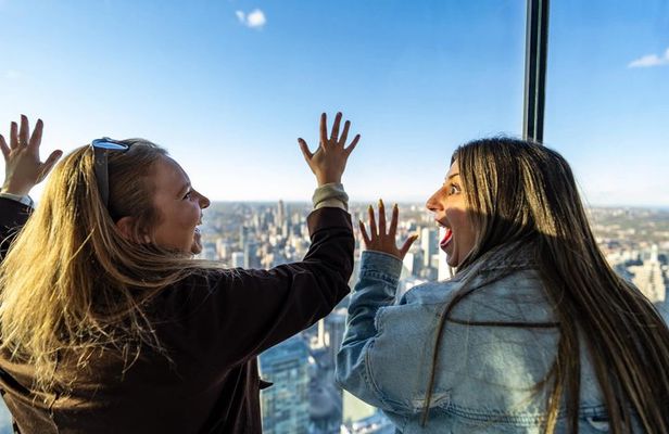 Toronto Small Group Tour with CN Tower Observation Deck
