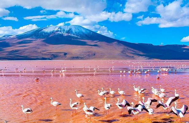 Uyuni Salt Flats 3-day tour, ending in San Pedro de Atacama