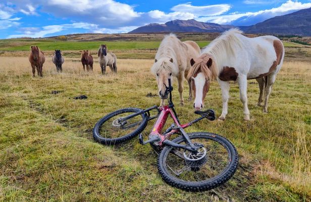 Svarfadadalur Private E MTB Tour