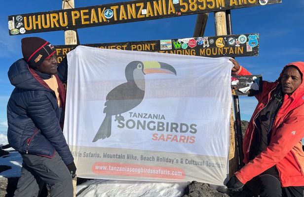 Kilimanjaro Climb via Lemosho Route for 7 Day (All Inclusive)