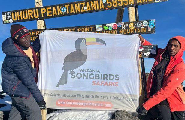 7 Day Kilimanjaro Climb Via Machame Route Whiskey Route