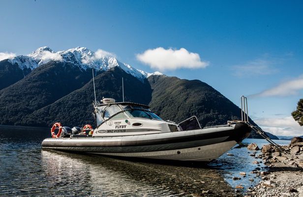Fiordland Adventures: 2-Hour Discovery Cruise in Te Anau