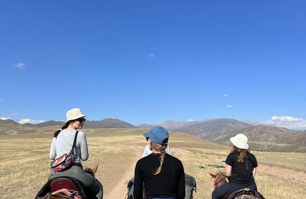 3 Day Horse Tracking to Song Kul Small Group Tour