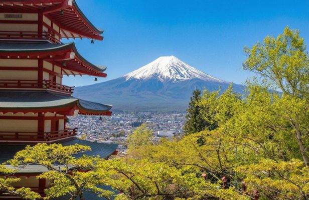 Mt. Fuji, Ninja Village, Oishi Park and Chureito Pagoda Day Tour