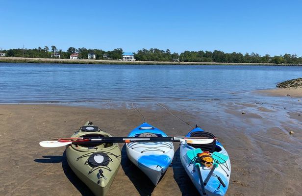 Shark Tooth Island Tour