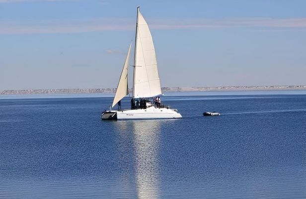 Catamaran Cruise to Dakhla Dragon Island
