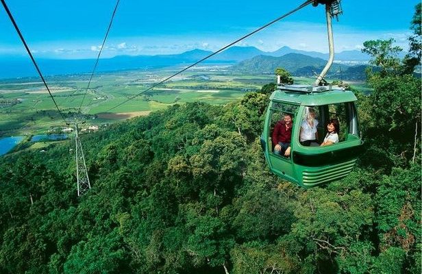 Cairns: Army Duck, Wildlife & Skyrail Rainforest Tour