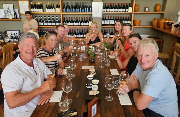 Private Casablanca Valley Wine Tour: 2 Boutique Wineries & Lunch