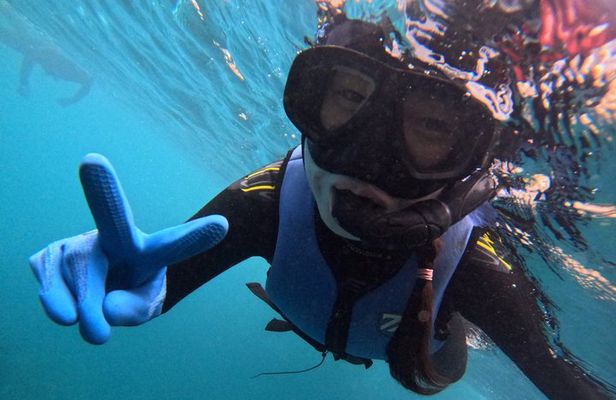 Premium Boat Snorkeling Adventure at Seopseom Island, Jeju