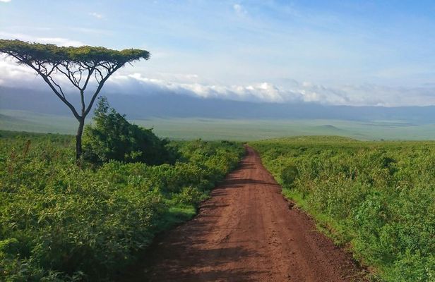 3-Day Camping Safari Tarangire, Ngorongoro and Lake Manyara