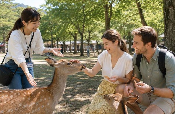 Nara Private Tour: Great Buddha, Park Deer & World Heritage
