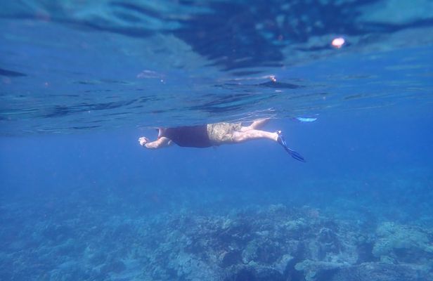 Kona Snorkeling Tour Small Group Marine Life Experience