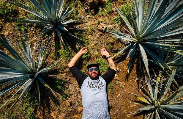 Private One Day Adventure Tour in Tequila and La Fortaleza Distillery