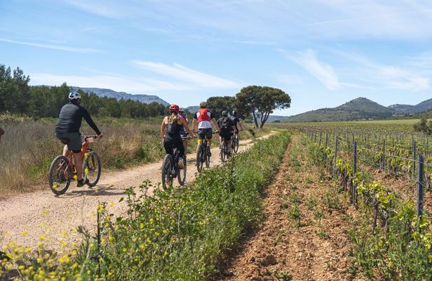 E-Mountain Bike Tour Cassis Provence