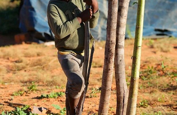 Traditional Zimbabwe Village Tour Near Victoria Falls