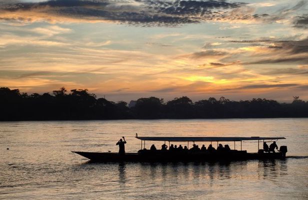 2 Days Adventure Tambopata vip and wild animals
