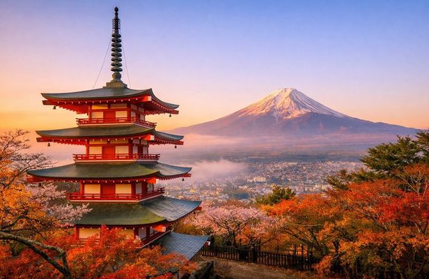 Mt Fuji Early Morning Photo Spot Tour with English Guide