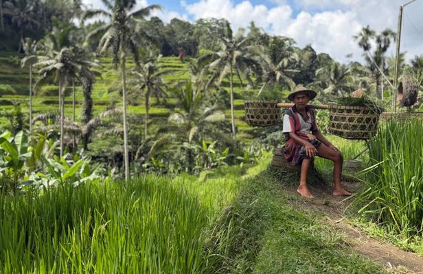 Best Full Day Of Ubud Private Guided Tour