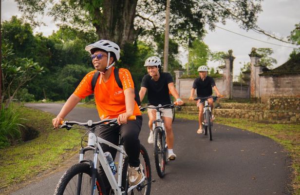Bali Downhill Cultural Cycling Tour