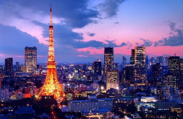 Private TOKYO Tour:After Arrival/Before Departure/Transfer Flight