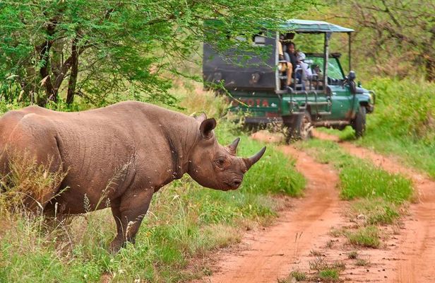 2 Days Tanzania Joining Group Safari to Tarangire and Ngorongoro