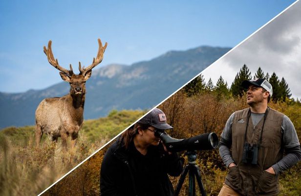 Rocky Mountain National Park Tour and Picnic
