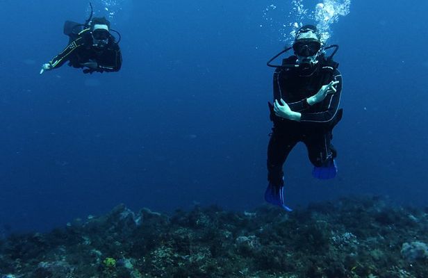 Recreational Dive Cozumel Dive Machine