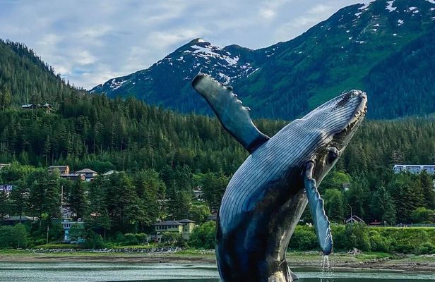Customized Private Juneau Sightseeing SUV/Van Excursion