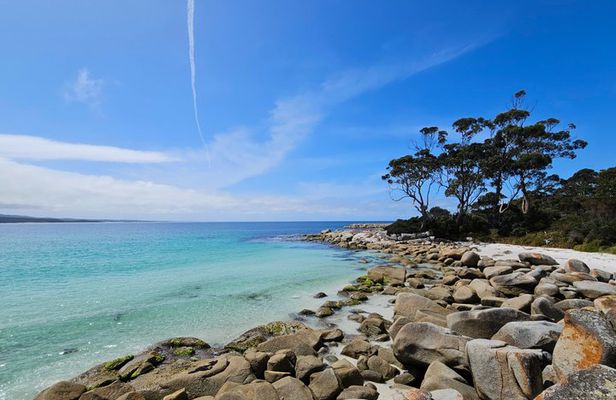 Tasmania 6 Day East Coast Tour