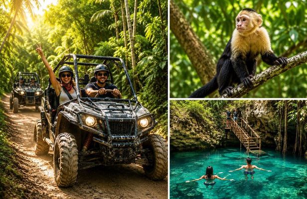 Monkey House Experience with Buggy Tour y Cenote Visit