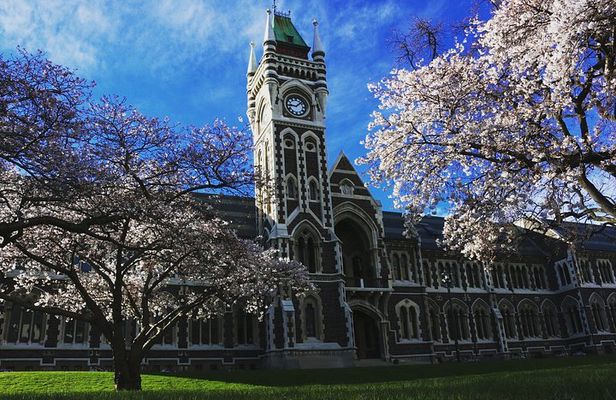 Cruise Ship Tour Dunedin City Highlights & Otago Peninsula Views