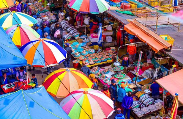 The Essential Busan: Coastal Views, Local Markets & Culture Tour