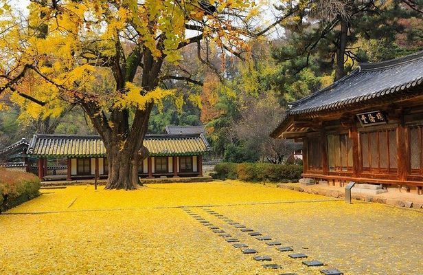 Jeonju Hanok Village and Maisan Mountain Private Group Tour