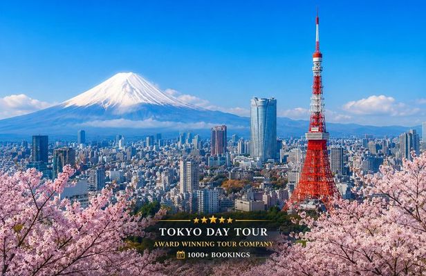 Private Tokyo Tour by Car with Custom Itinerary & English Guide