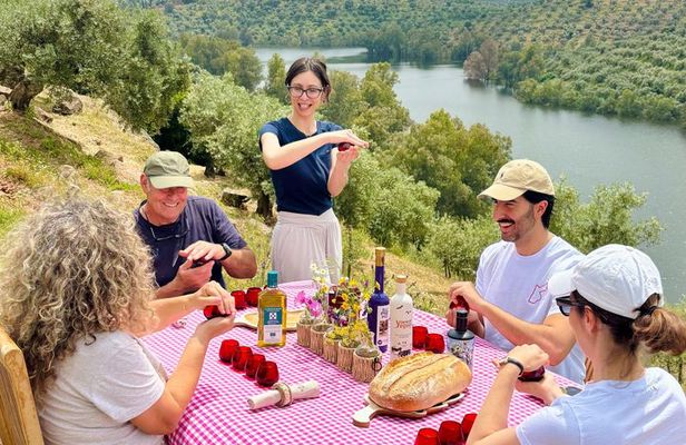 Exclusive Tasting of Olive Oil and Paella in Family Estate