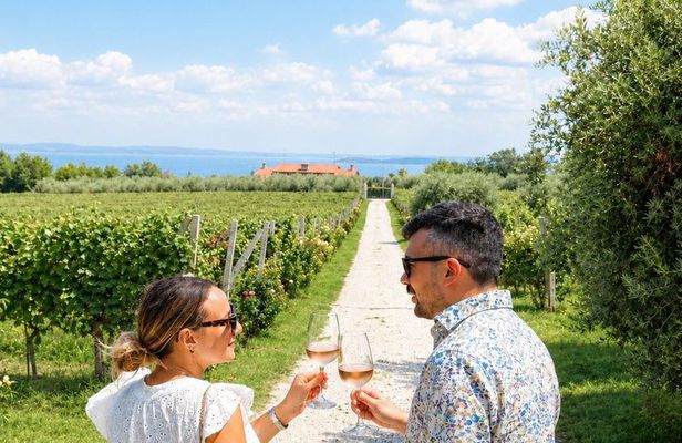 Wine tour and tasting with Lake view In Moniga del Garda