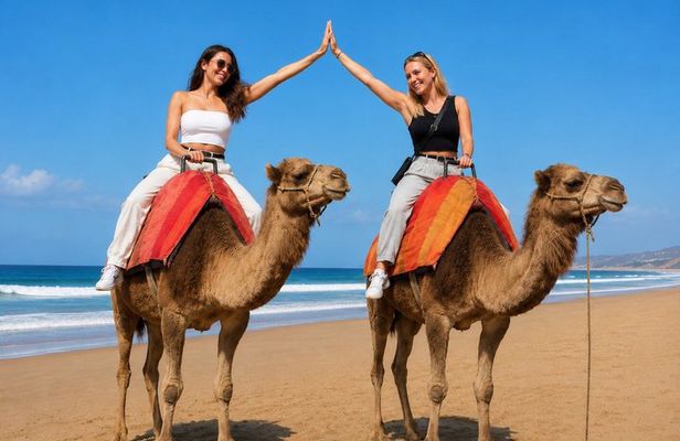 Tangier 4-Hour Private Tour with Camel Ride, Medina & Kasbah ………