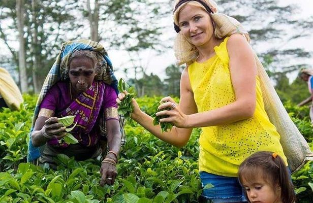 7 Days Sri Lanka Tour with Hotel and Transfer