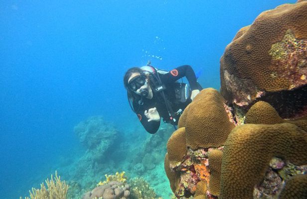 Lionfish Scuba Mini Course Underwater Adventure