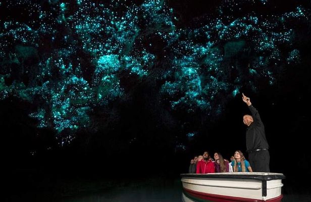 Waitomo Glowworm, Blue Springs, and Hobbiton Day tour
