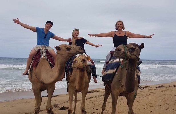 Authentic Full-Day Private Tour of Tangier