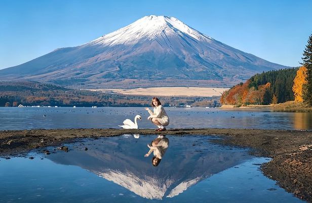 Private Chartered Day Tour to Mount Fuji