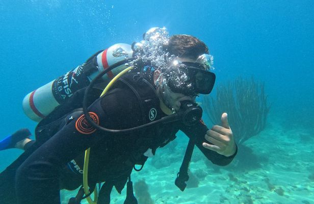 Diving Safari Tayrona Park For Certificates or Beginners