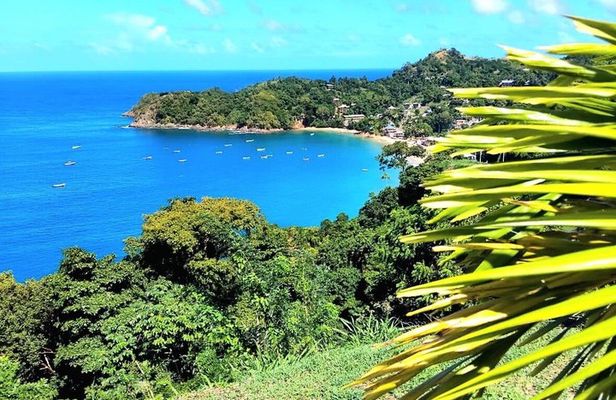 Caribbean Coast Highlights Hummingbirds, Waterfall and Beaches