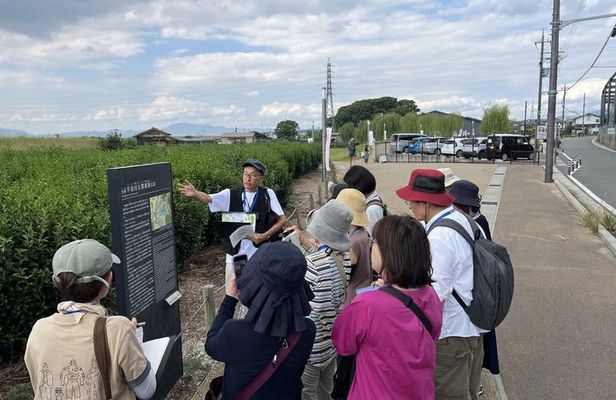 Uji Matcha & Tea Culture Food Tour with Licensed Guide