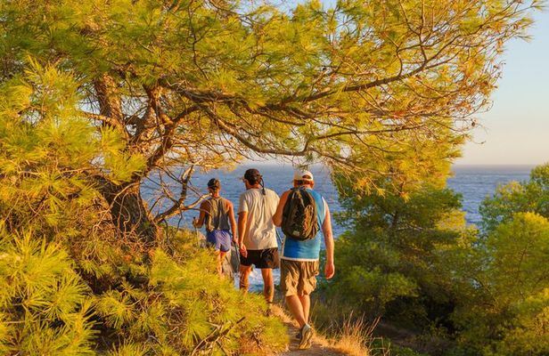 Hiking in the Natural Park of Maro Cerro Gordo