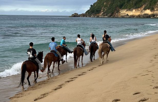 Horseback Riding Tours on Aguadilla Beach