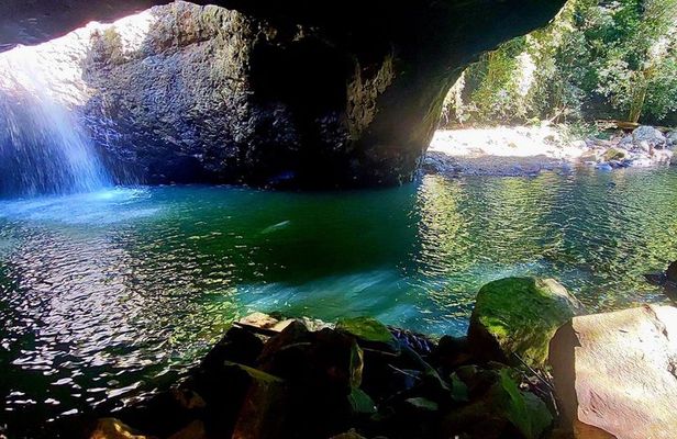 Gold Coast Private Tour at Scenic Hinterland Waterfalls
