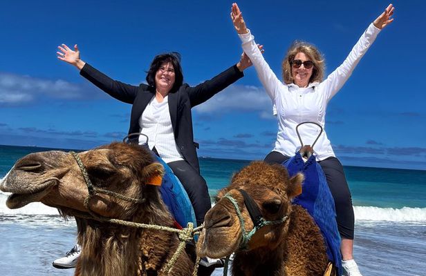 Tangier & Camel Ride: Private Luxury Half-Day Tour