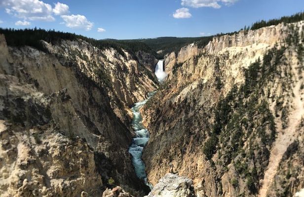 Private Yellowstone Wildlife and Geology Tour from Jackson Hole